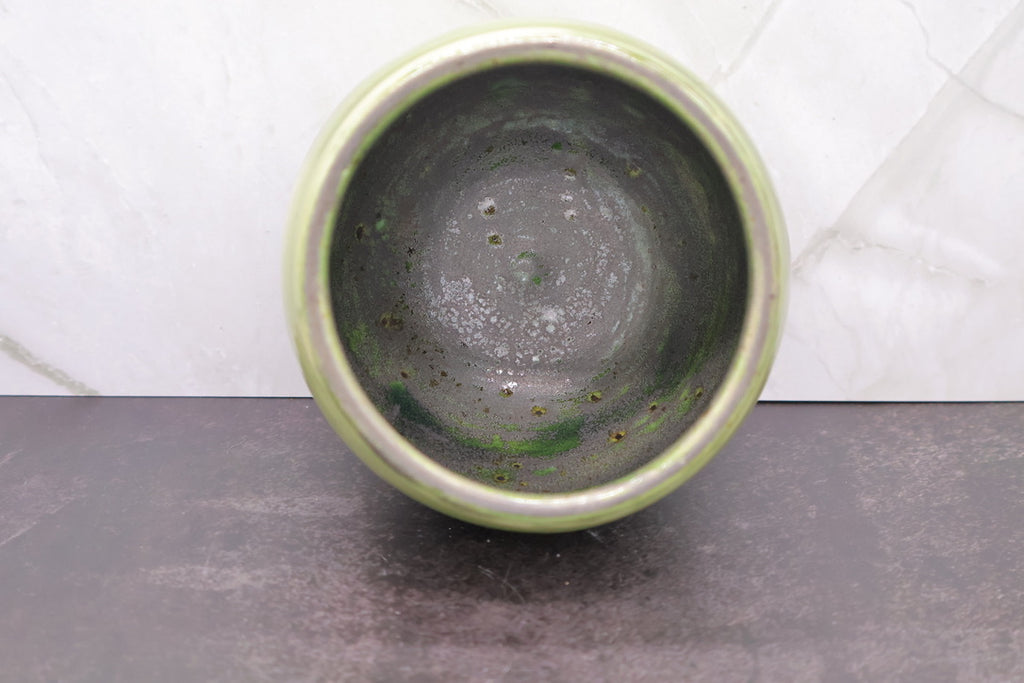 Dragonfly & Fern Bowl — 16 oz