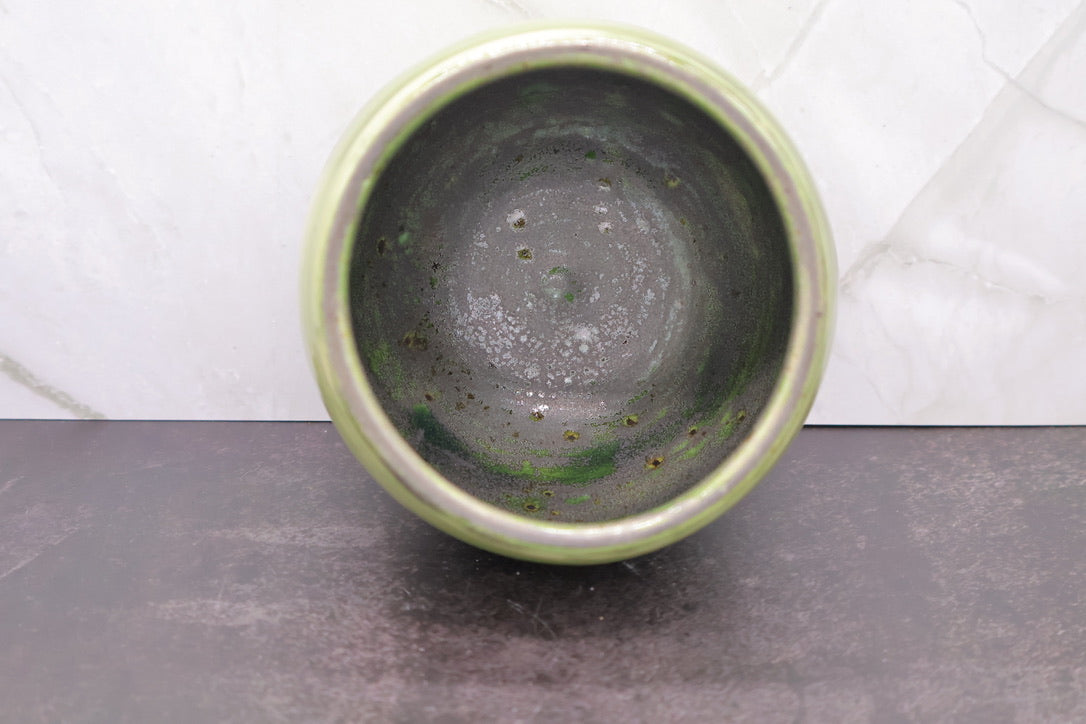 Dragonfly & Fern Bowl — 16 oz