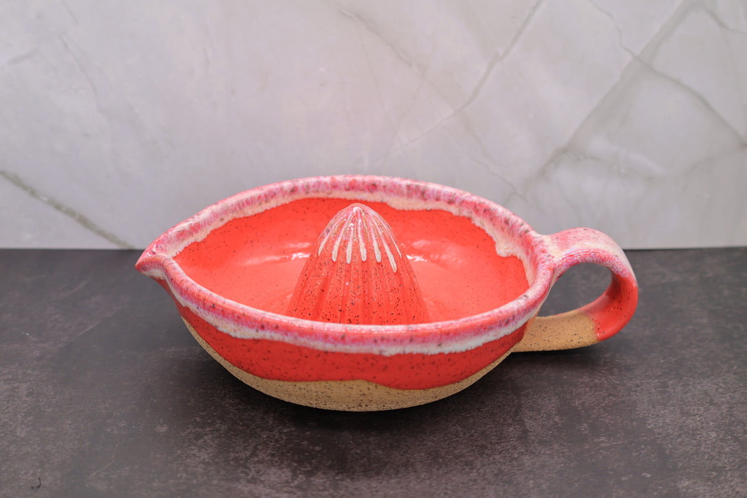 Coral Blossom Citrus Juicer