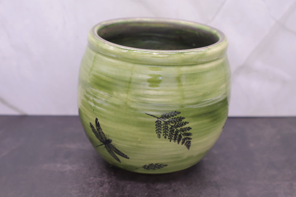 Dragonfly & Fern Bowl — 16 oz