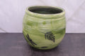 Dragonfly & Fern Bowl — 16 oz