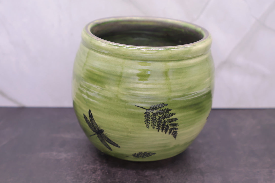 Dragonfly & Fern Bowl — 16 oz