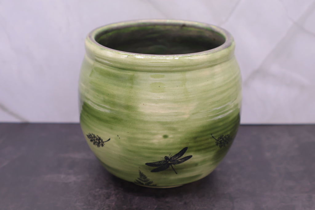 Dragonfly & Fern Bowl — 16 oz