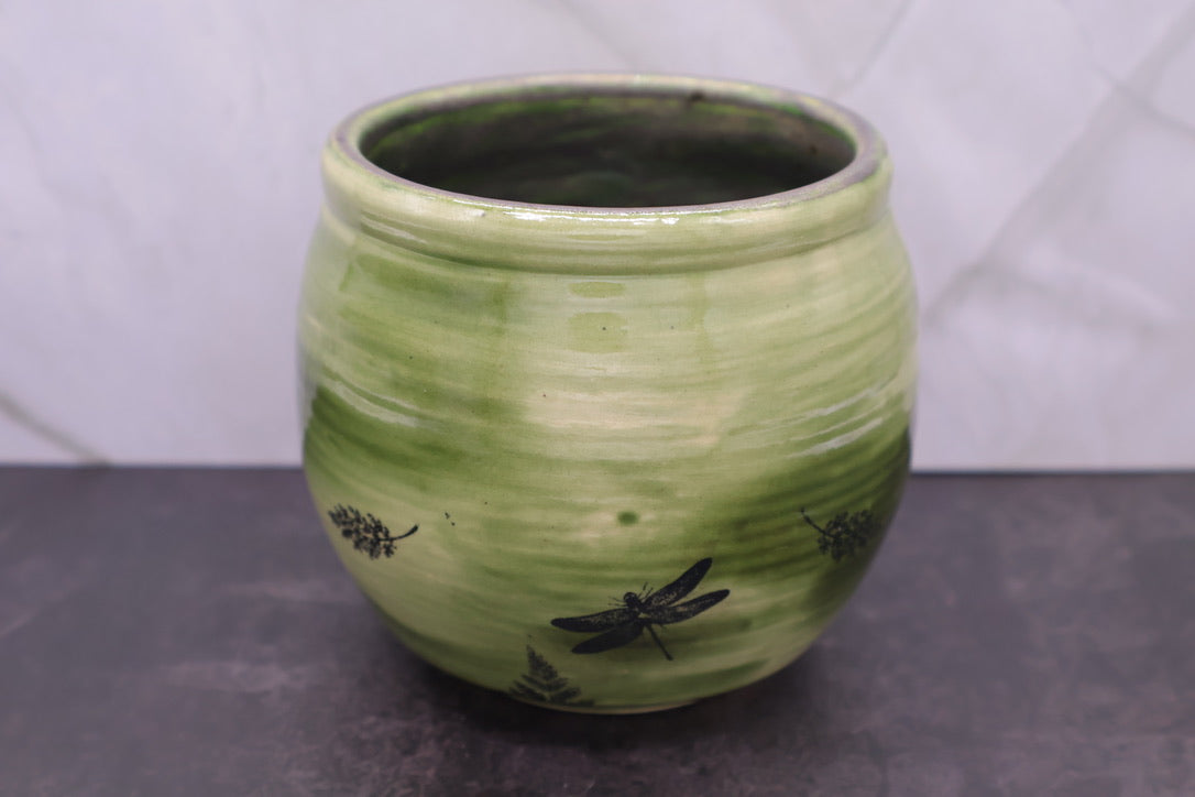 Dragonfly & Fern Bowl — 16 oz