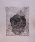 Mr. Whiskers — Aquatint Etching