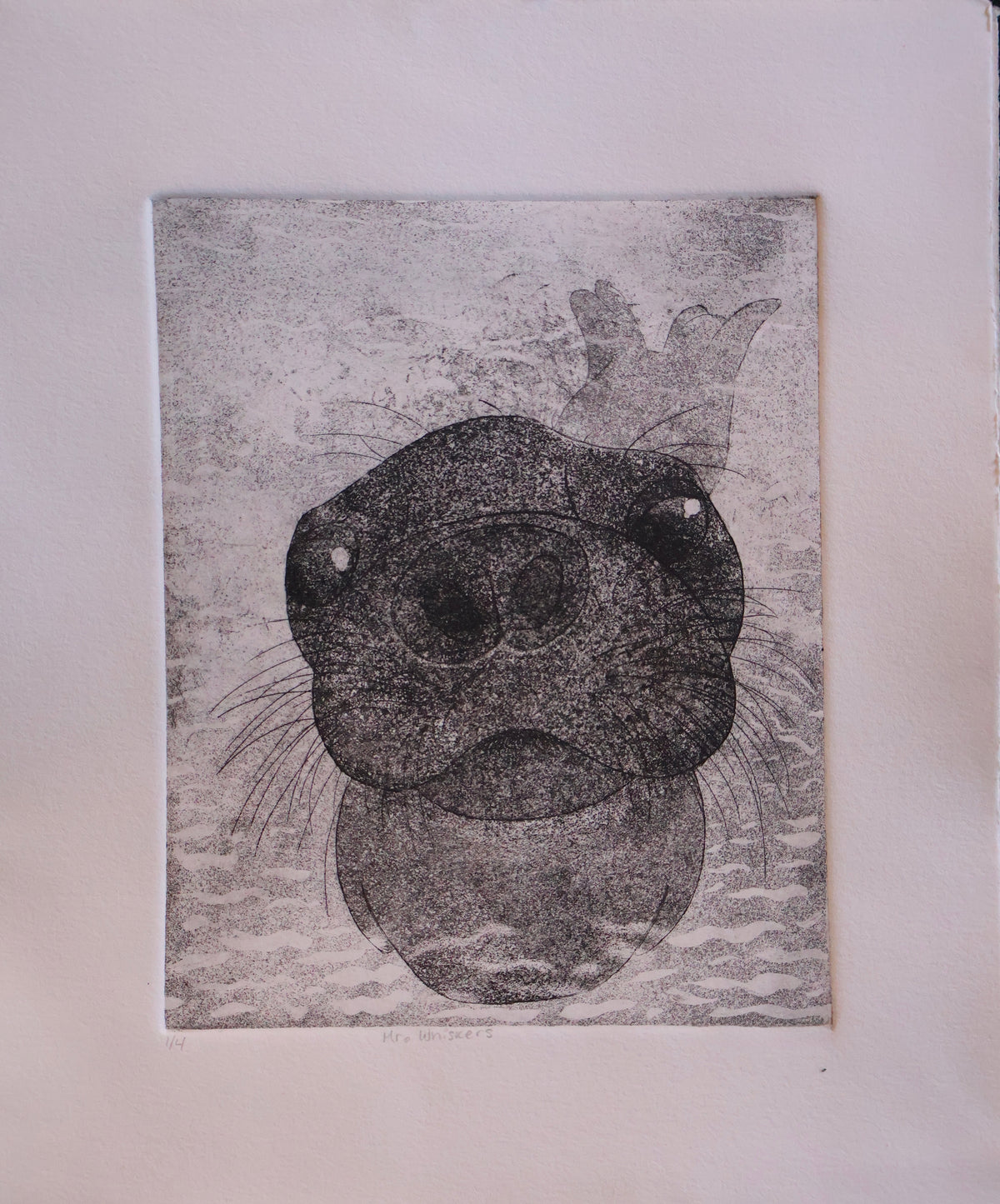 Mr. Whiskers — Aquatint Etching