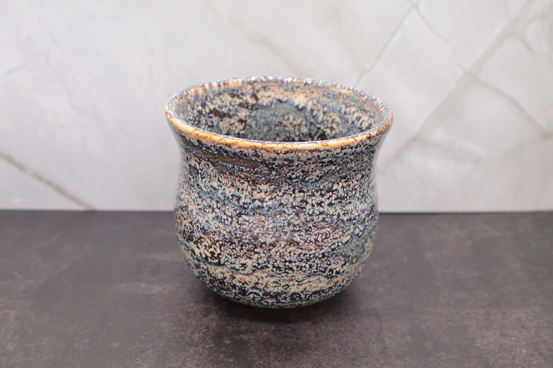 Lichen Crawl Handleless Mug — 12 oz