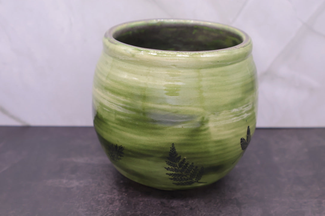 Dragonfly & Fern Bowl — 16 oz