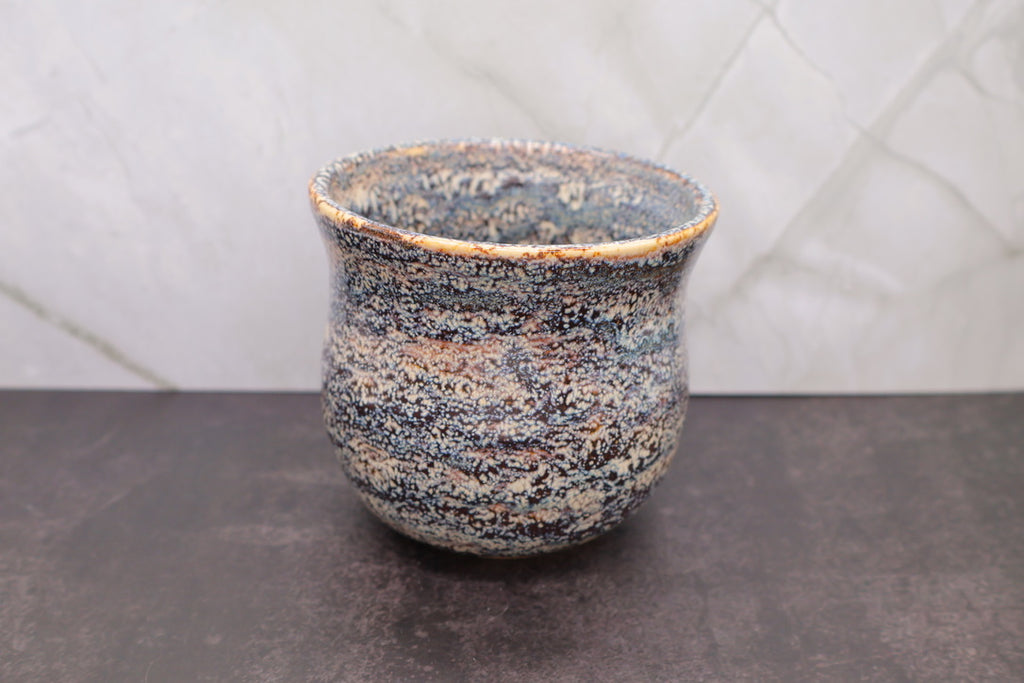 Lichen Crawl Handleless Mug — 12 oz